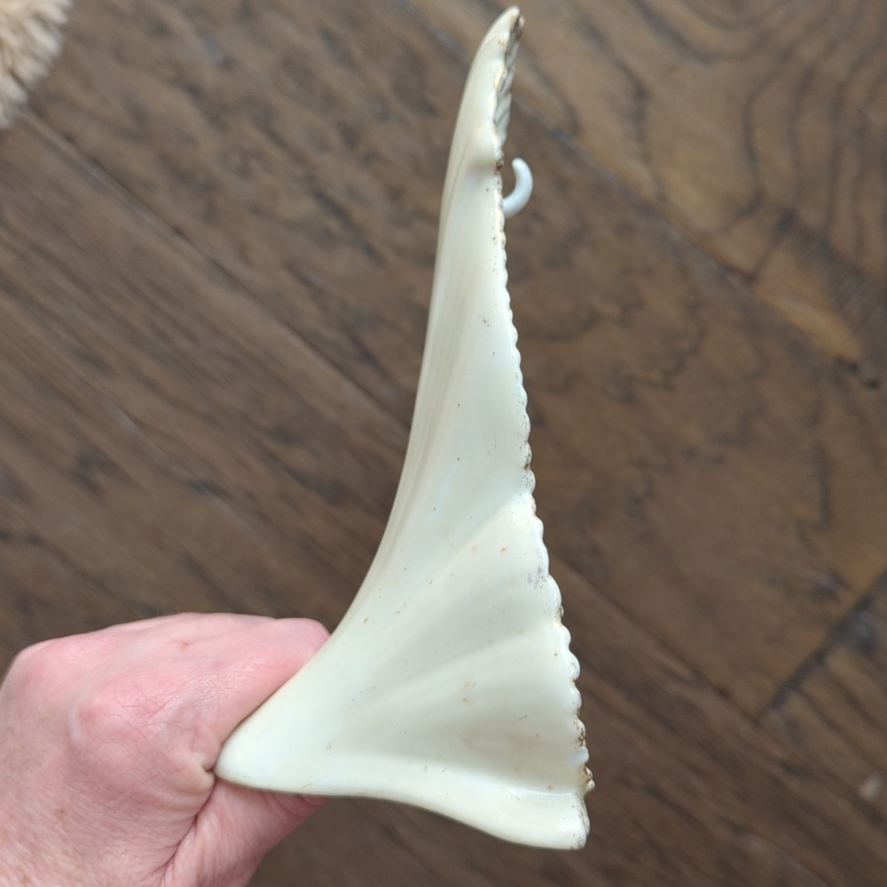 Antique Porcelain Watch Stand - Picture 2 of 8